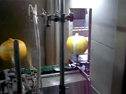 西方南瓜球喷涂线